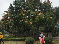 -晓港公园