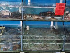 水产区-阿弟特色海鲜餐厅·大排档(平潭店)