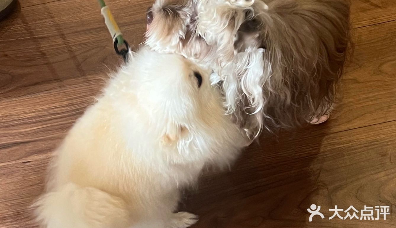 没人觉得杭州新开的nonoooo的冰沙