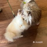 没人觉得杭州新开的nonoooo的冰沙