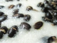 -一品方糕专卖店