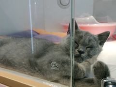 -龟与熊猫宠物公园(南坪店)