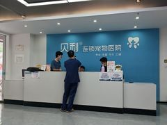 -贝利宠物医院·骨科·眼科·肿瘤转诊中心(南坪诊疗中心)