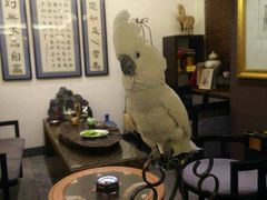 -大唐名家·息壤店