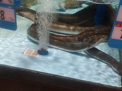 -阿伟海鲜楼·福建菜(延寿店)