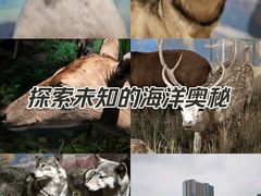 -陕西自然博物馆