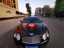 -蚂蚁婚车