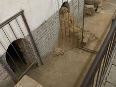 -康百万庄园