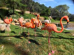 -沈阳森林动物园