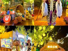 -郑州方特梦幻王国