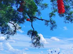 -广州市白云山风景名胜区