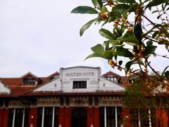 -上海交通大学医学院附属瑞金医院(总院)