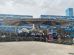 -华夏文旅海洋公园