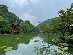 -云溪植物园