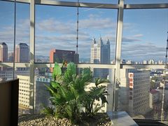 -海底捞火锅(振华广场生日主题店)