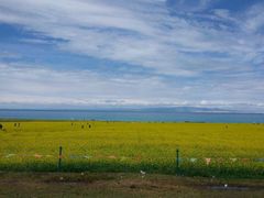 -青海湖国家重点风景名胜区