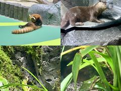 -海合安成都极地海洋公园