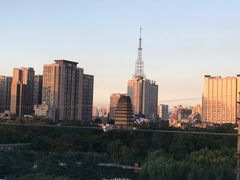 -真爱中国餐馆·年华店(朱雀大街店)