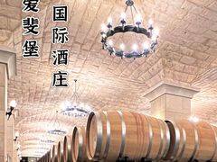 -北京张裕爱斐堡酒庄
