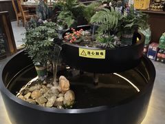 -九寨沟石锅鱼(沣峪口二十年店)