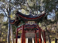 -香山公园