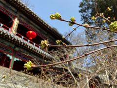 -潭柘寺景区