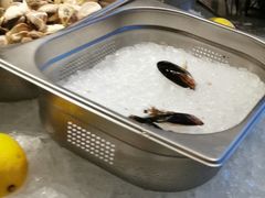 -长春富力万达文华酒店-集·味自助餐厅