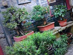 -老张烤羊(王哥庄店)