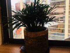 -十二舍·湯物素煮(江泰潤政店)