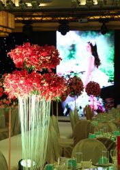 -天府阳光酒店·宴会厅