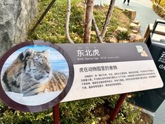 -武汉动物园