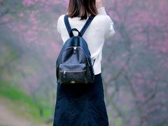 -新建村梅花