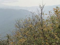-缥缈峰景区