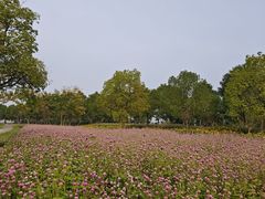 -南湖湿地公园