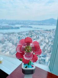 -大美母婴月子专护中心(紫峰店)