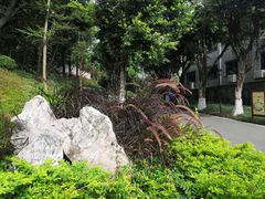 -顺丰轩园林酒家(天河店)