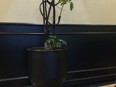 -涟LIAN·泰式按摩·MASSAGE·SPA(深业上城店)