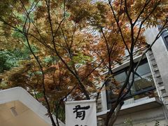-苏州本色美术馆
