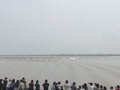 -观潮胜地公园