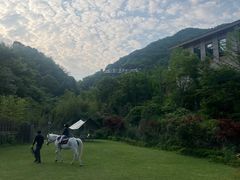 -宁海安岚·南溪阁全日餐厅