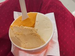 -Dip in Gelato(富民路店)