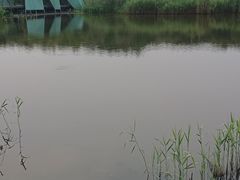 -西湖风景区-江洋畈生态公园