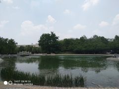 -山河屯铁锅炖(哈西站店)