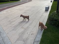 -碧桂园十里银滩