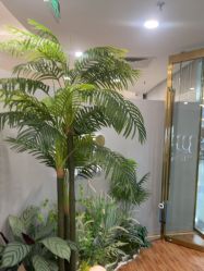 -八佰伴8008星级形象店