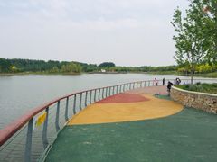-东郊湿地公园