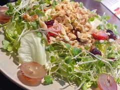 -机器人火炉披萨