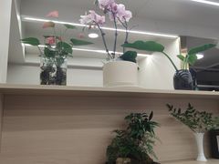 -红豆园(文林街店)