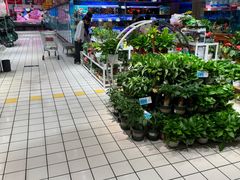 -大润发(国兴店)