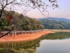 -广州市白云山风景名胜区